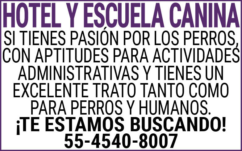 HOTEL,Y,ESCUELA,CANINASI,TIENES,PASION,POR,LOS,PERROS,CON,APTITUDES,PARA,ACTIVIDADES,ADMINISTRATIVAS,Y,TIENES,UN,EXCELNTE,TRATO,TANTO COMO,PARA,PERROS,Y,HUMANOS.¡TE,ESTAMOS,BUSCANDO!55-4540-8007