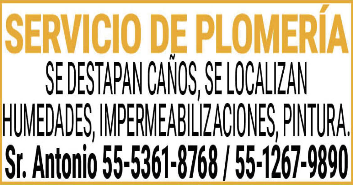 SERVICIO,DE,PLOMERIASE,DESTAPAN,CAÑOS,,SE,LOCALIZAN HUMEDADES,,IMPERMEABILIZACIONES,,PINTURA.Sr.,Antonio,55-5361-8768,/,55-1267-9890